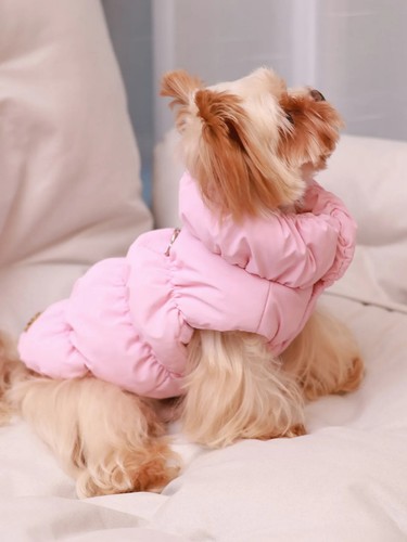 Dog jacket for - dog,
