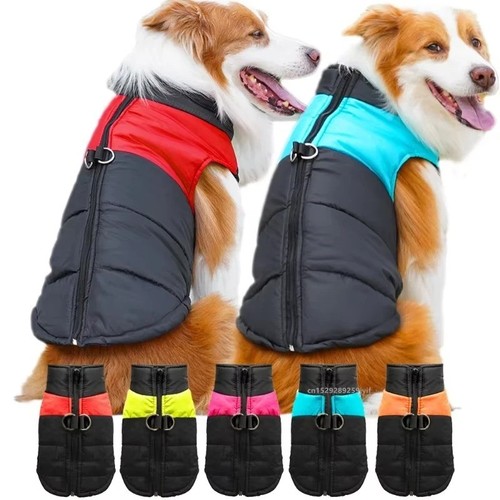 Pet vest jacket - jacket, dog