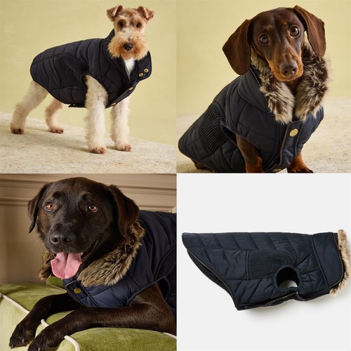 Blue parka dog coat navy - parka,
