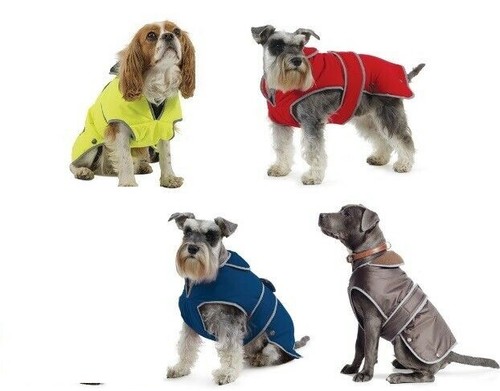 Ancol stormguard dog - dog, coat