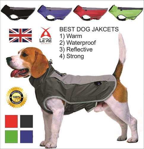 Dog coats jacket - le're, coats/jacket