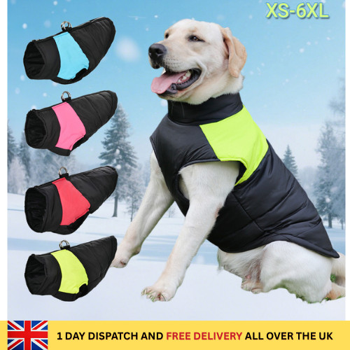 High quality 6xl dog - xs,