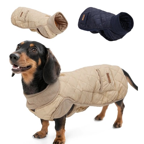 Winter dog coat small - small, dogs
