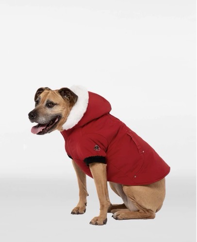 Moose knuckle pooch parka - knuckle,
