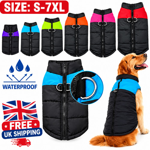 Pet vest jacket warm - pet, dog