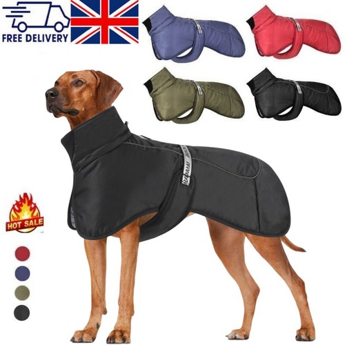 Large dog clothes - large, winter