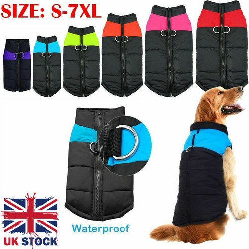 Pet vest jacket - pet, dog