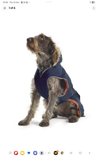 Ancol muddy paws blue - muddy, parka