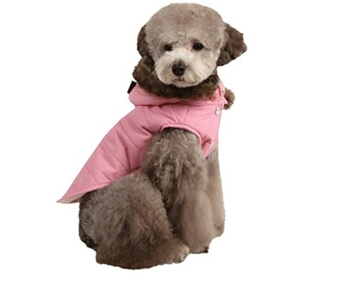 Puppia luxury range cody - puppia,